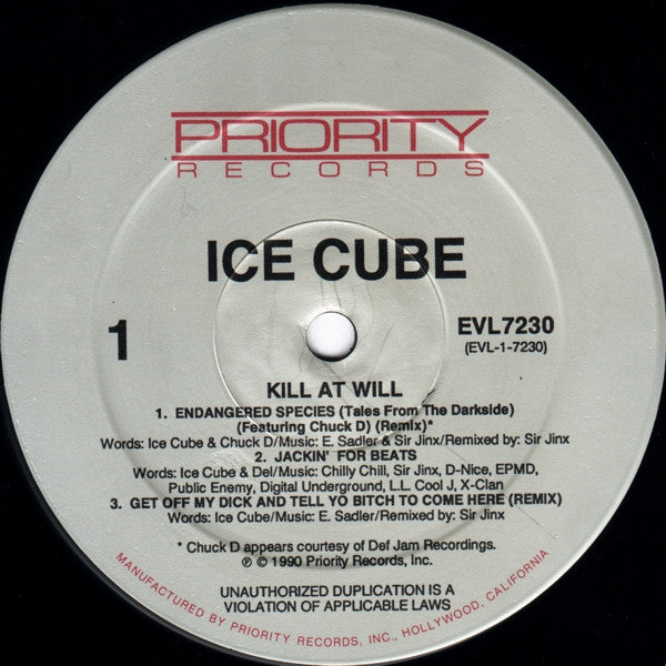 Ice Cube - Kill at Will (1990, US)