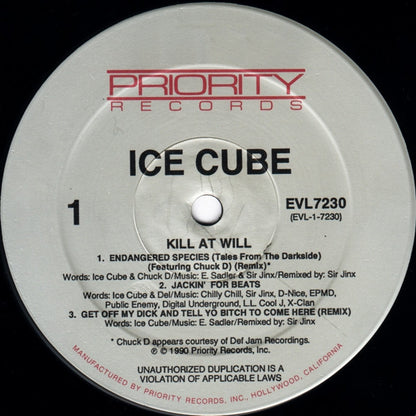 Ice Cube - Kill at Will (1990, US)