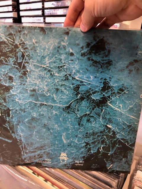 Edgar Froese - Aqua, NM copy