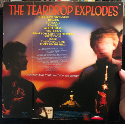 The Teardrop Explodes - Kiliminjaro (1980, US)